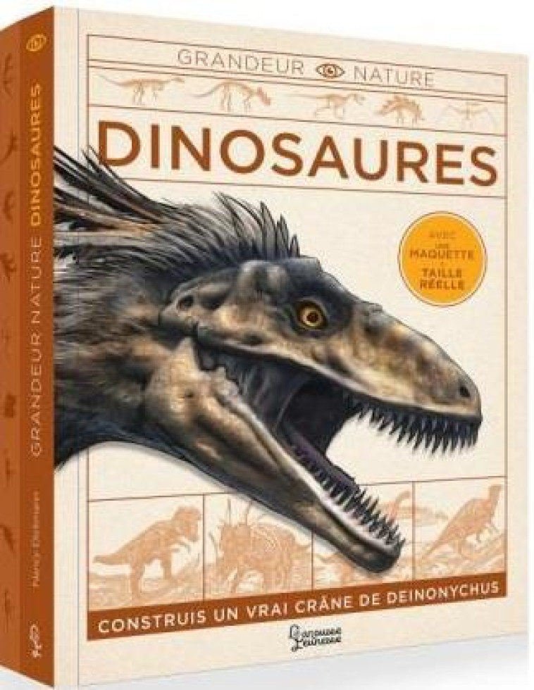 DINOSAURES - DICKMANN NANCY - LAROUSSE