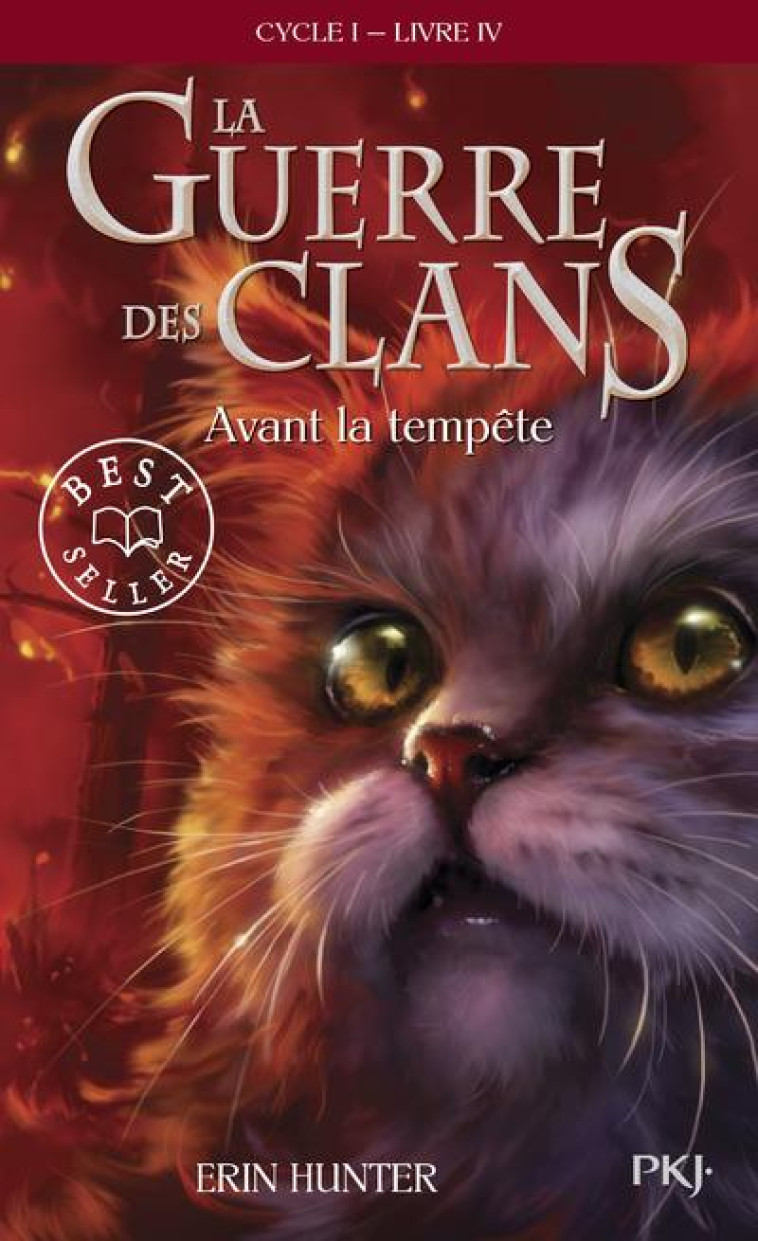 AVANT LA TEMPETE LIVRE 4 - HUNTER ERIN - POCKET