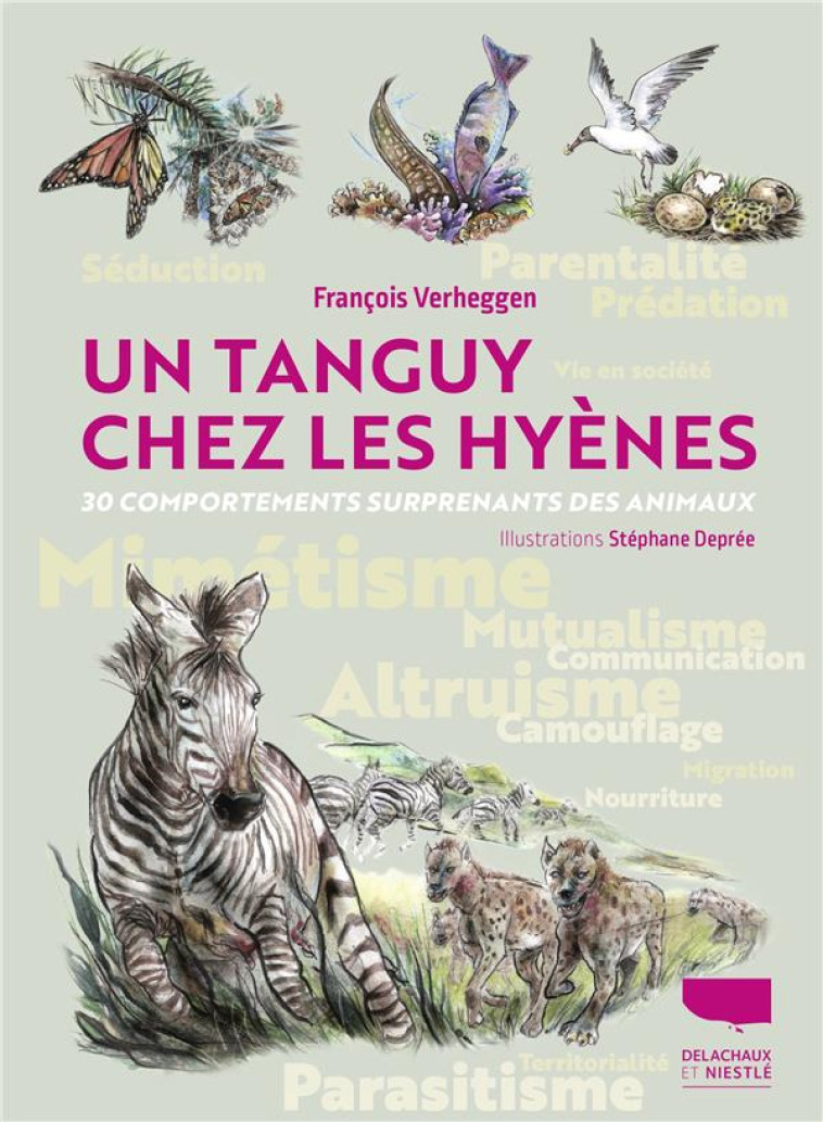 UN TANGUY CHEZ LES HYENES. 30 COMPORTEMENTS SURPRENANTS DES ANIMAUX - VERHEGGEN/DEPREE - DELACHAUX