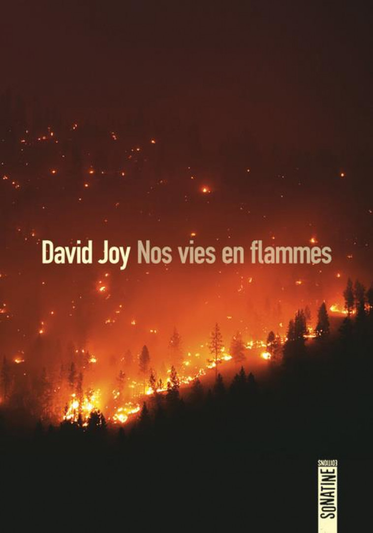 NOS VIES EN FLAMMES - JOY DAVID - SONATINE