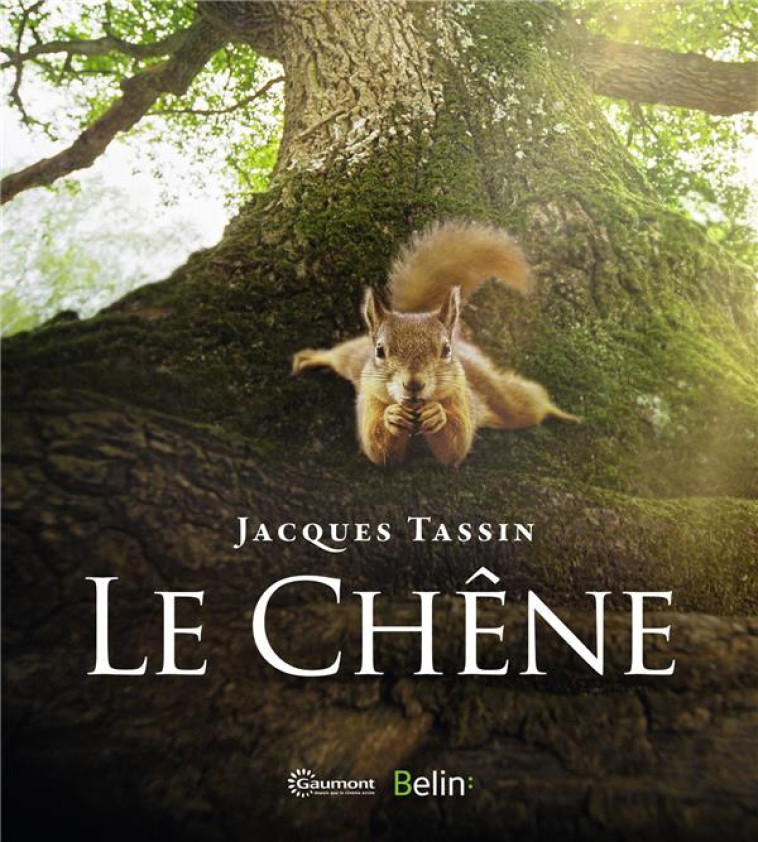 LE CHENE (BEAU-LIVRE) - TASSIN JACQUES - DORLING KINDERS