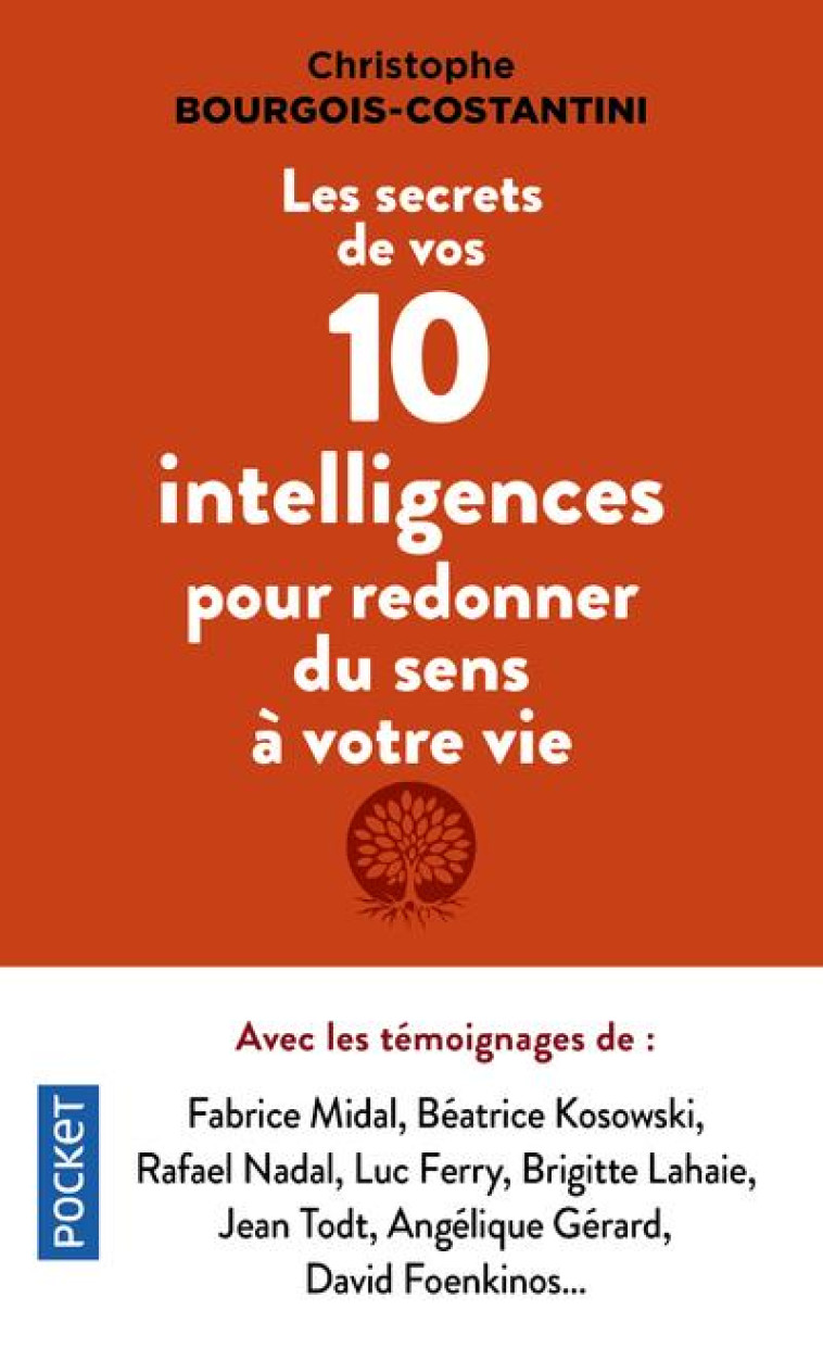 LES SECRETS DE VOS DIX INTELLIGENCES POUR REDONNER DU SENS A VOTRE VIE - BOURGOIS-COSTANTINI - POCKET