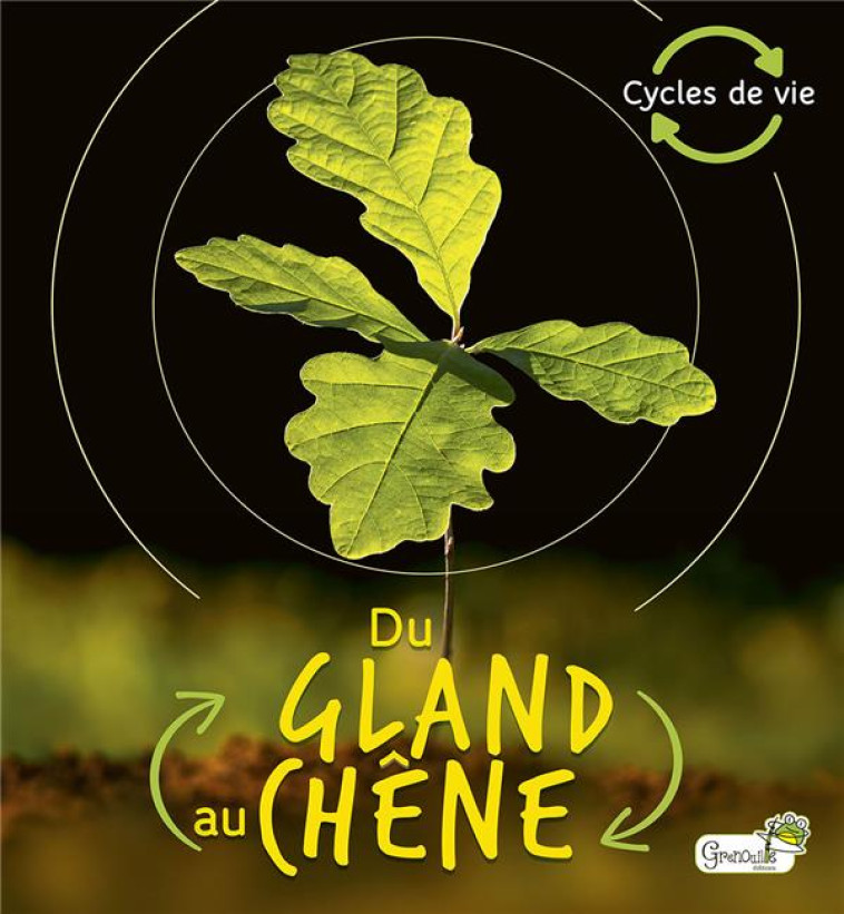 DU GLAND AU CHENE - XXX - GRENOUILLE