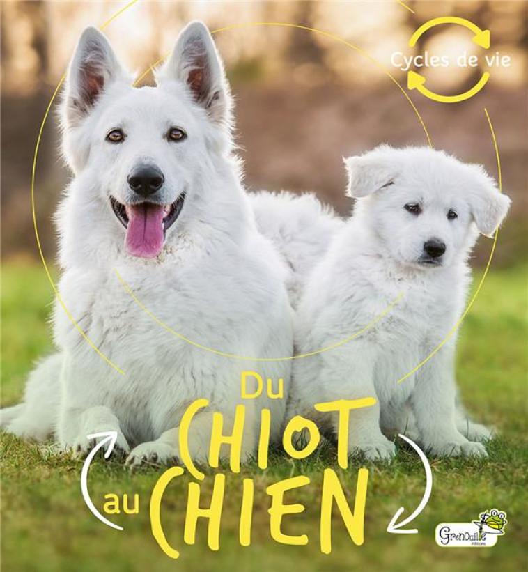 DU CHIOT AU CHIEN - XXX - GRENOUILLE