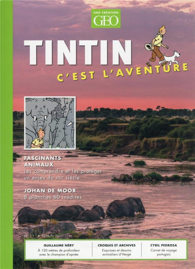 TINTIN C'EST L'AVENTURE T11 - COLLECTIF - FEMME ACTUELLE