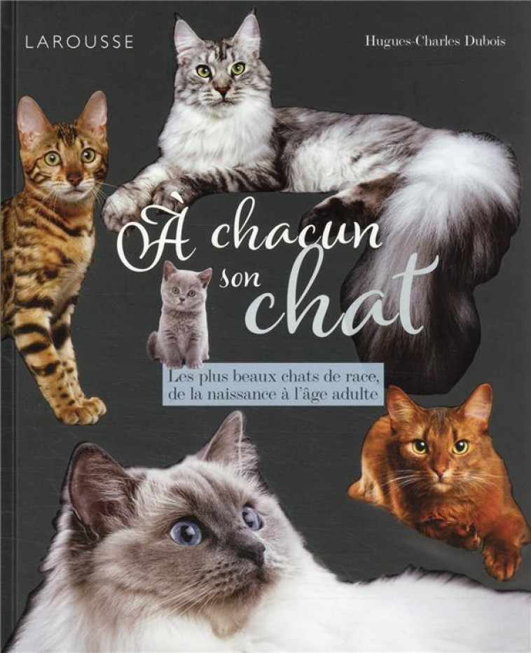 A CHACUN SON CHAT - DUBOIS H-C. - LAROUSSE