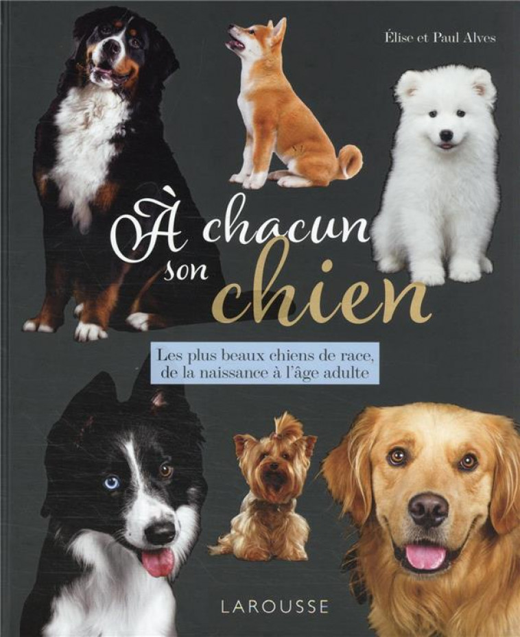 A CHACUN SON CHIEN - ALVES - LAROUSSE