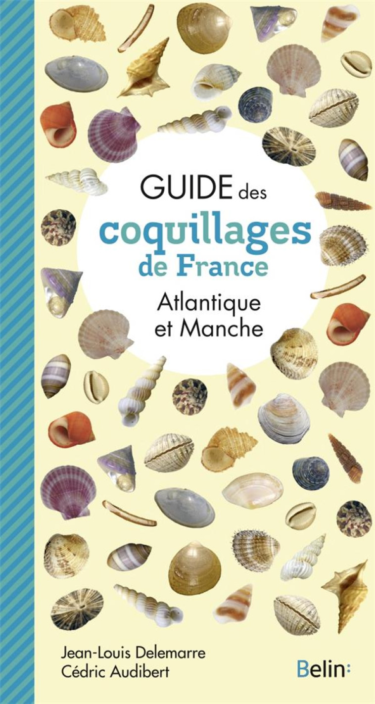 GUIDE DES COQUILLAGES DE FRANCE - ATLANTIQUE ET MANCHE - AUDIBERT/DELEMARRE - DORLING KINDERS