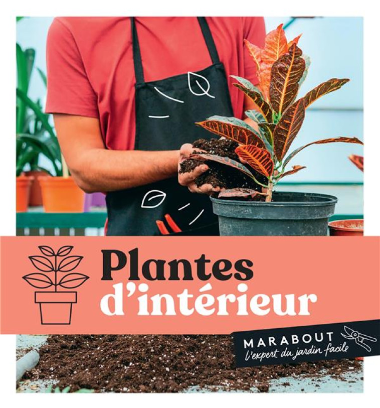 PLANTES D'INTERIEUR - XXX - MARABOUT