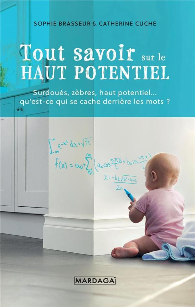 TOUT SAVOIR SUR LE HAUT POTENTIEL - BRASSEUR/CUCHE - MARDAGA PIERRE