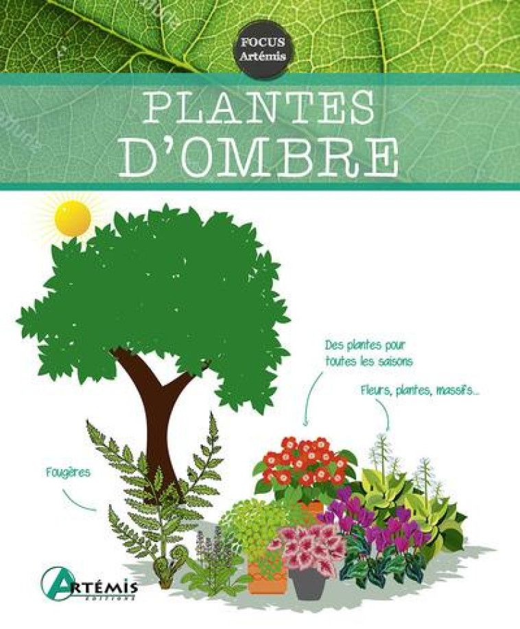 PLANTES D'OMBRE - SASIAS GERARD - ARTEMIS