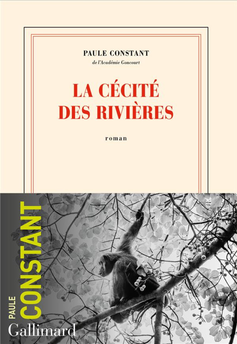 LA CECITE DES RIVIERES - CONSTANT PAULE - GALLIMARD