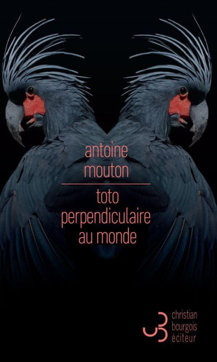 TOTO PERPENDICULAIRE AU MONDE - MOUTON ANTOINE - BOURGOIS