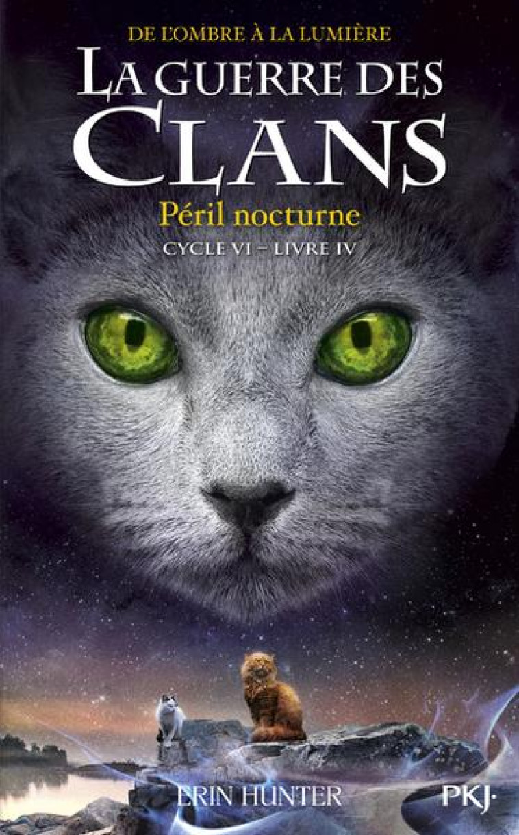 LA GUERRE DES CLANS, CYCLE VI - TOME 4 PERIL NOCTURNE - TOME 34 - VOL34 - HUNTER ERIN - POCKET