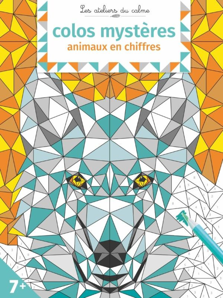 COLOS MYSTERES 100 % CHIFFRES - KUCIA FRED - HACHETTE