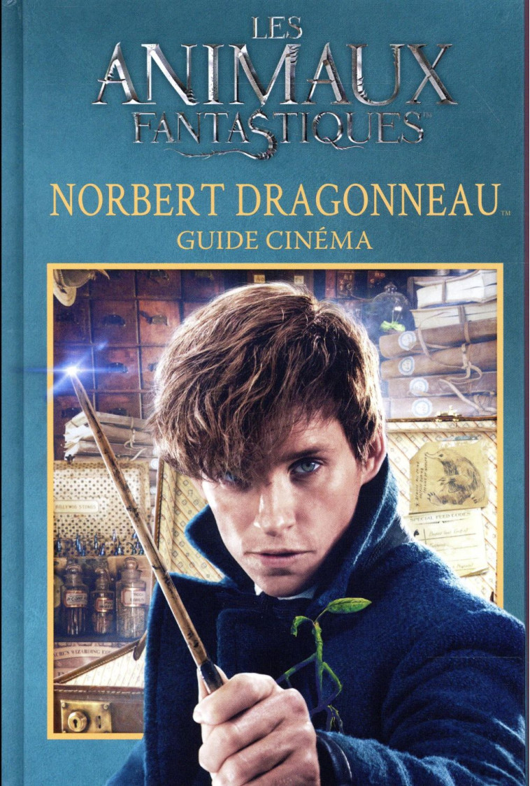 GUIDE CINEMA 7 : NORBERT DRAGONNEAU - COLLECTIF - Gallimard-Jeunesse