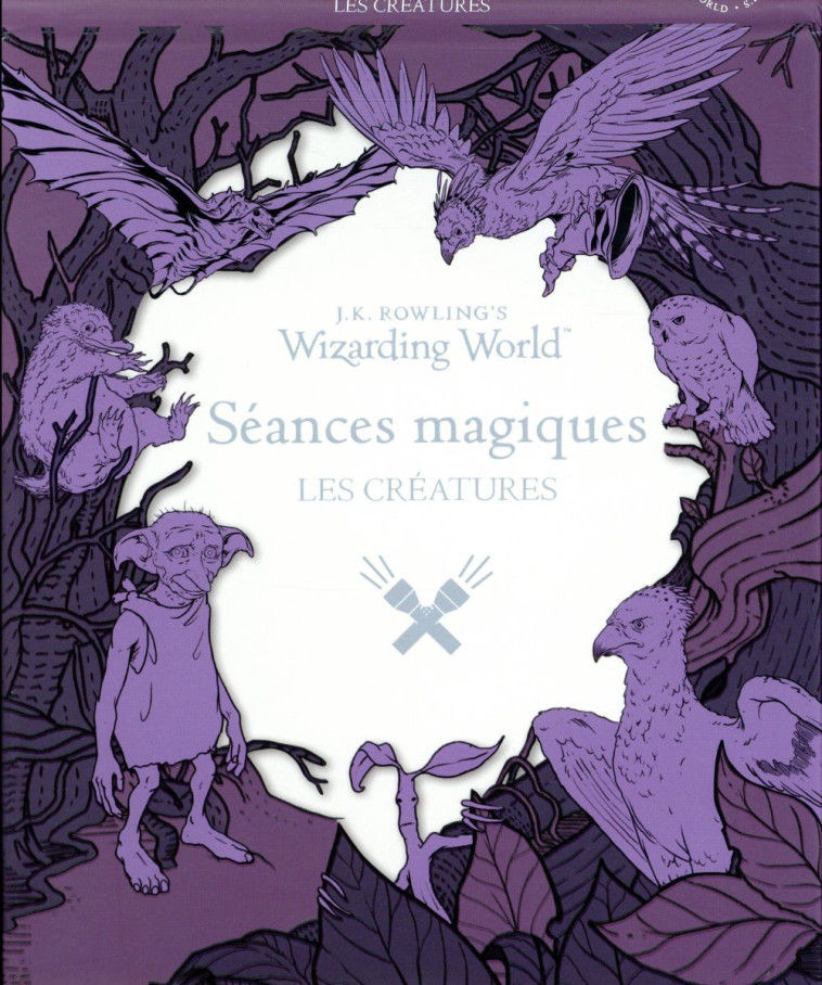 J.K. ROWLING'S WIZARDING WORLD : SEANCES MA GIQUES - COLLECTIF - Gallimard-Jeunesse