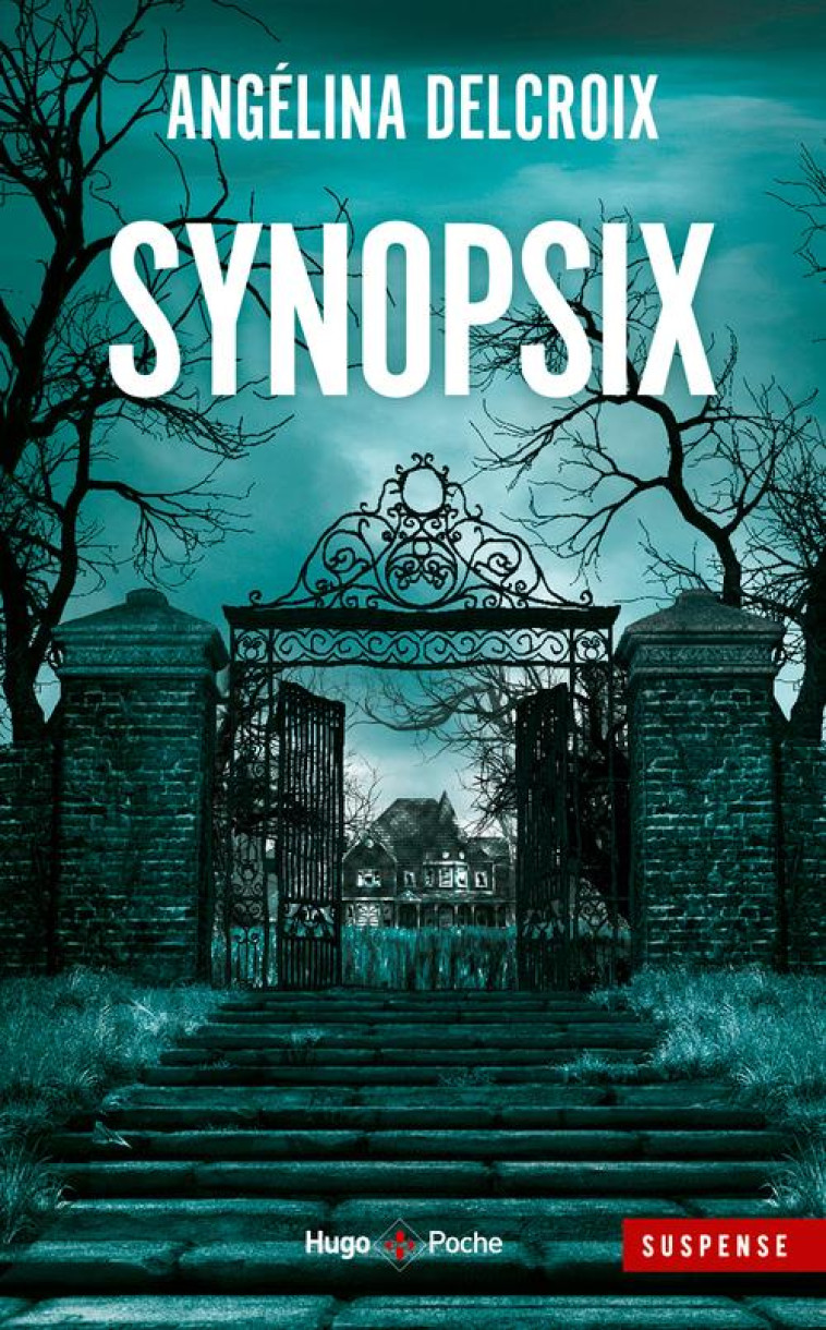 SYNOPSIX - INEDIT - DELCROIX ANGELINA - HUGO JEUNESSE