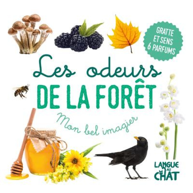 MON BEL IMAGIER DES ODEURS - LES ODEURS DE LA FORET - COLLECTIF - LANGUE AU CHAT