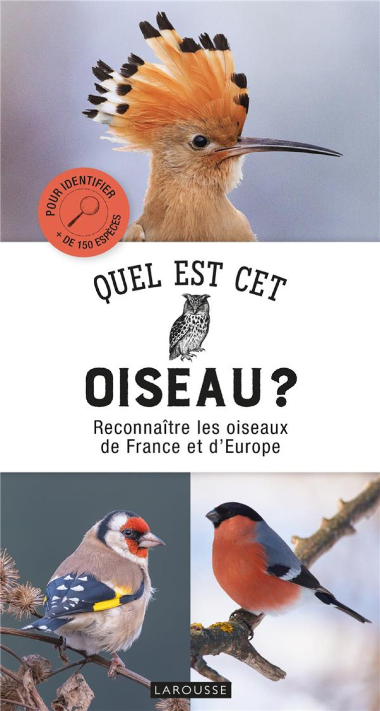 QUEL EST CET OISEAU ? - HUME ROB - LAROUSSE