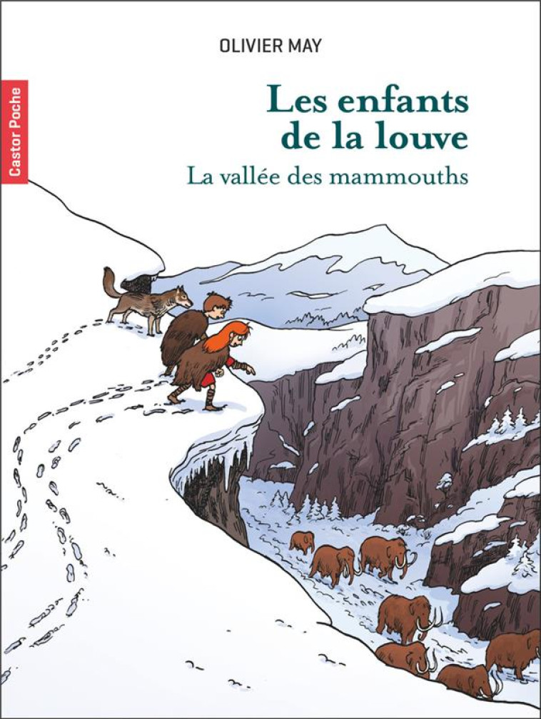 LES ENFANTS DE LA LOUVE - LA VALLEE DES MAMMOUTHS T3 LA VALLEE DES MAMMOUTHS - MAY/DESBAT - FLAMMARION