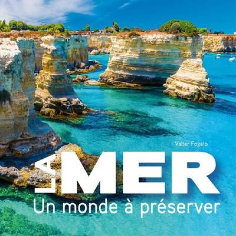 LA MER : UN MONDE A PRESERVER - FOGATO VALTER - NC