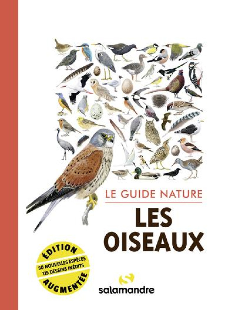 LE GUIDE NATURE LES OISEAUX - COLLECTIF - LA SALAMANDRE