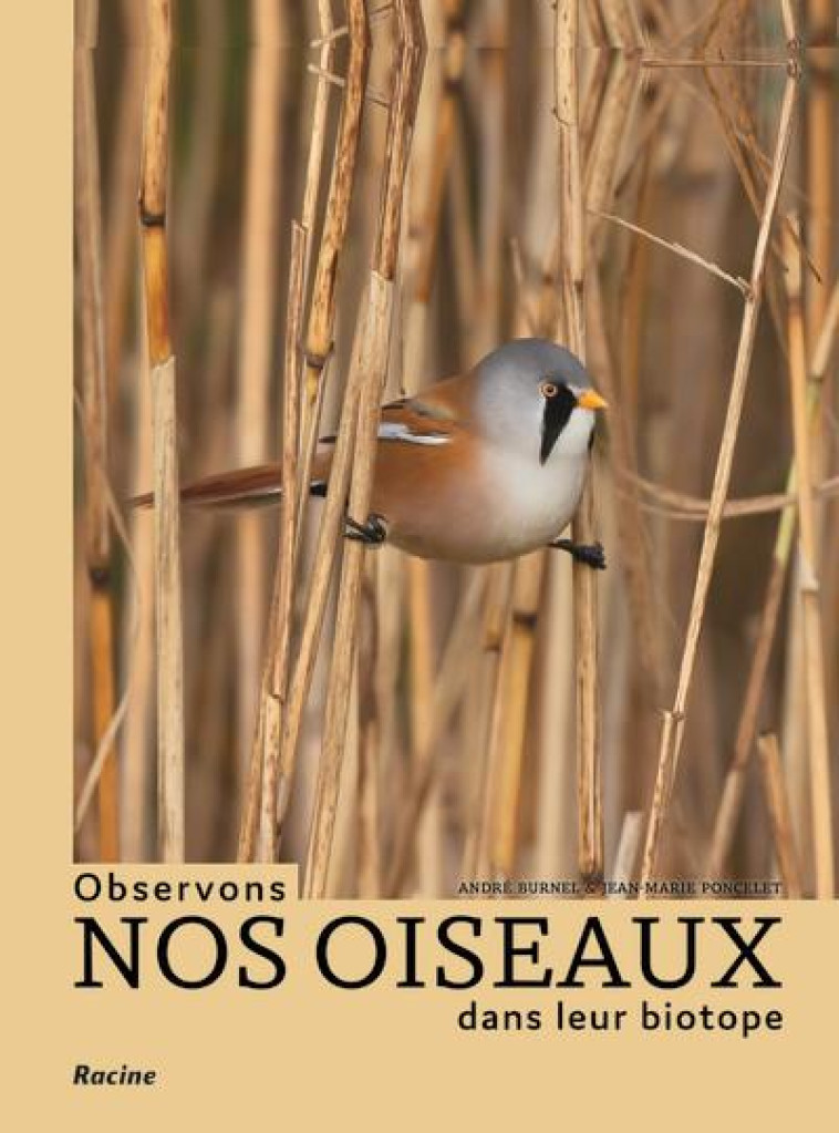 OBSERVONS NOS OISEAUX DANS LEUR BIOTOPE - PLUS DE 200 ESPECES REPERTORIEES - BURNEL ANDRE - RACINE BE