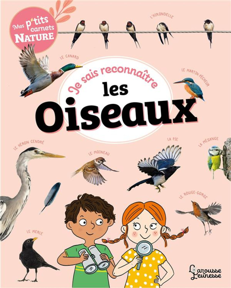 JE SAIS RECONNAITRE LES OISEAUX - MON CARNET NATURE - LEBRUN/GRIBOUILLE - LAROUSSE