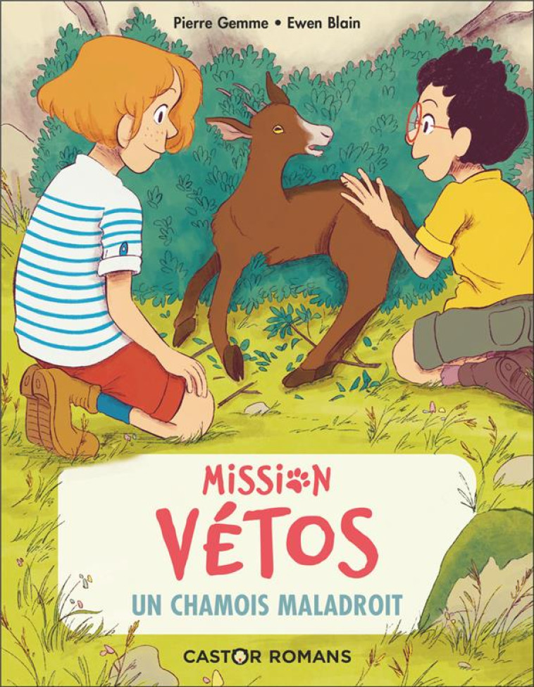 MISSION VETOS - 9 - LE CHAMOIS MALADROIT - GEMME/BLAIN - FLAMMARION