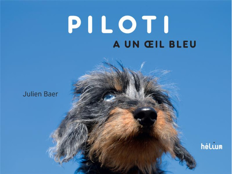 PILOTI - BAER JULIEN - ACTES SUD