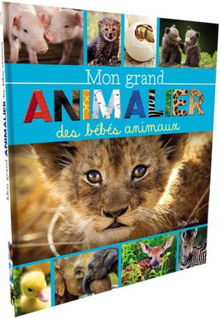 MON GRAND ANIMALIER DES BEBES ANIMAUX - COTE MARIE-EVE - NC