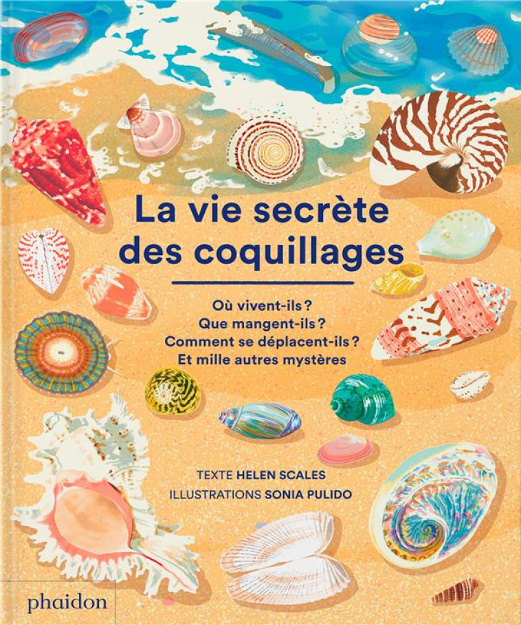 LA VIE SECRETE DES COQUILLAGES - XXX - NC