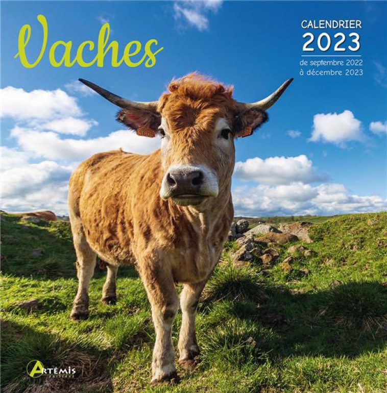 CALENDRIER VACHES 2023 - XXX - NC