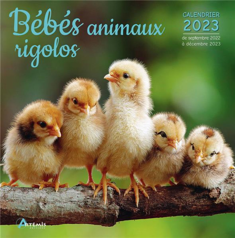 CALENDRIER BEBES ANIMAUX RIGOLOS 2023 - XXX - NC