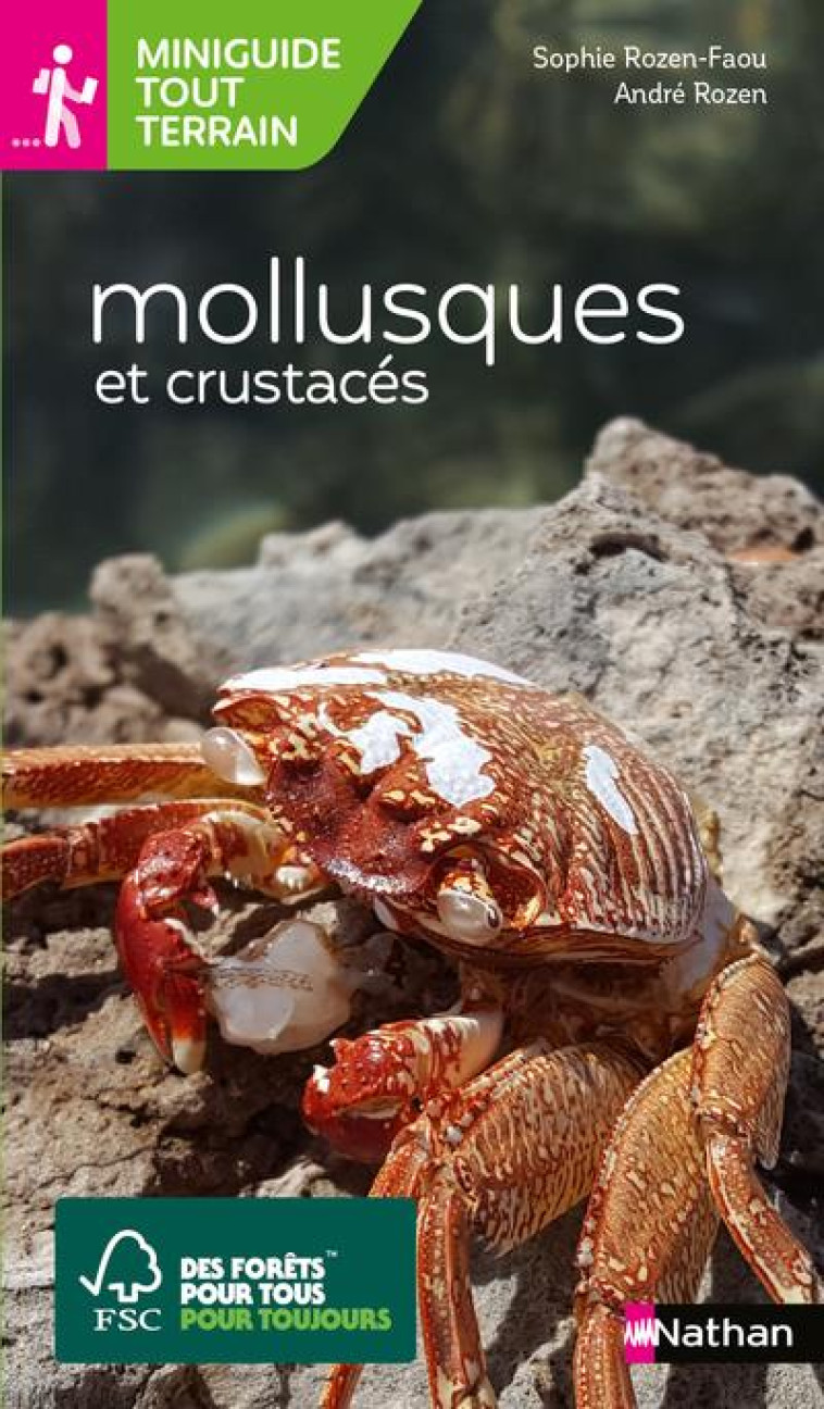 MINIGUIDES TOUT-TERRAIN: MOLLUSQUES ET CRUSTACES - ROZEN-FAOU - CLE INTERNAT