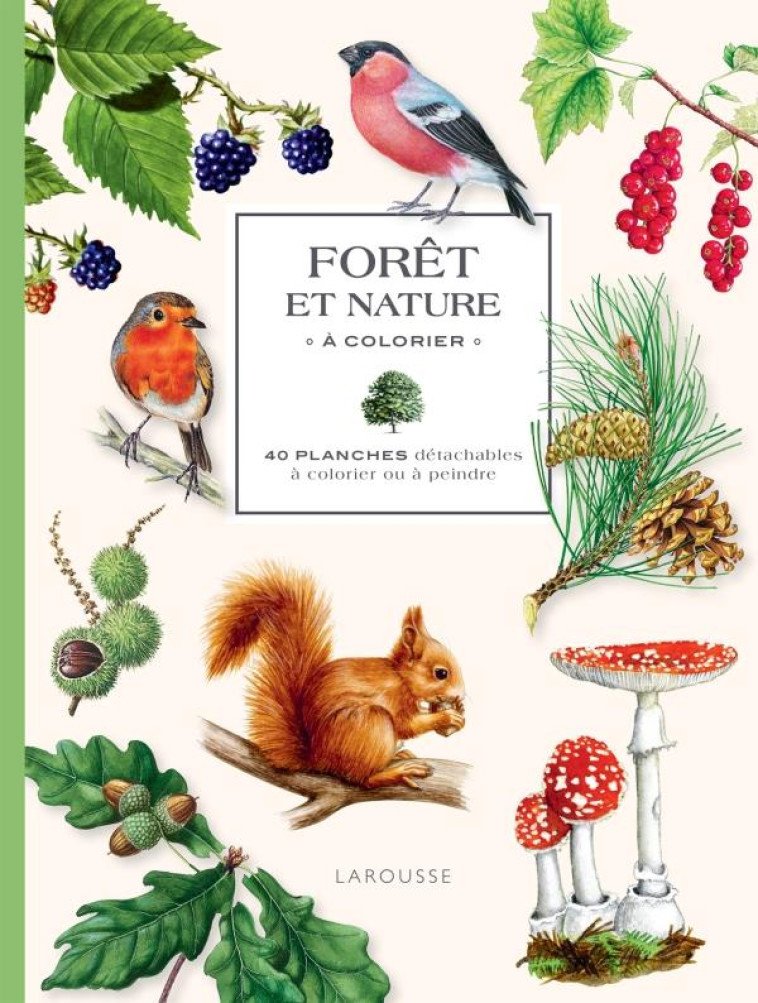 FORET ET NATURE A COLORIER - 40 PLANCHES DETACHABLES A COLORIER OU A PEINDRE - XXX - NC