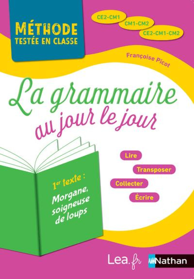 LA GRAMMAIRE AU JOUR LE JOUR - METHODES TESTEES EN CLASSE - CE2-CM1-CM2 - 2019 - ANNEE 2 - PICOT FRANCOISE - CLE INTERNAT