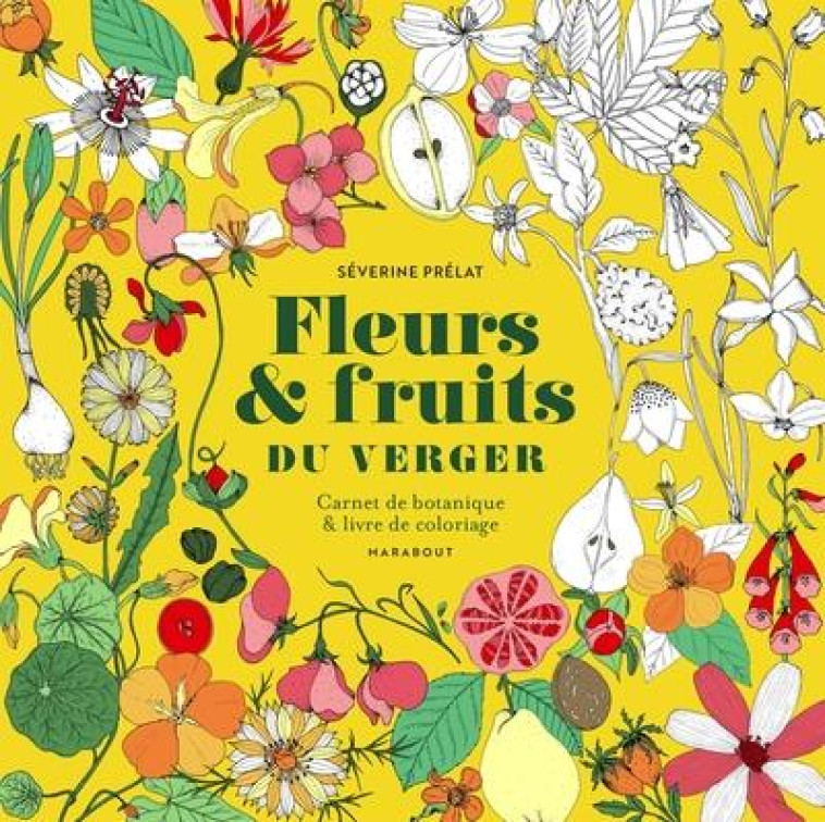 FLEURS ET FRUITS DU VERGER - PRELAT SEVERINE - MARABOUT