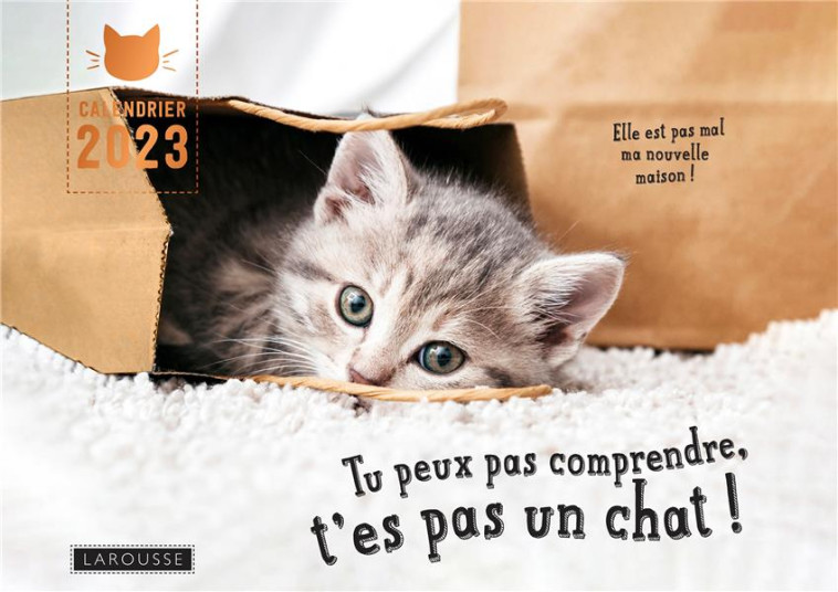 CALENDRIER TU PEUX PAS COMPRENDRE T'ES PAS UN CHAT - LEMOINE/ZABEE - NC