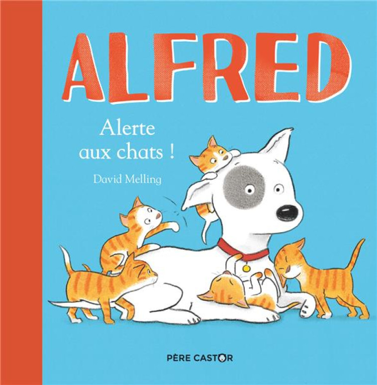 ALFRED -- ALERTE AUX CHATS - MELLING - FLAMMARION