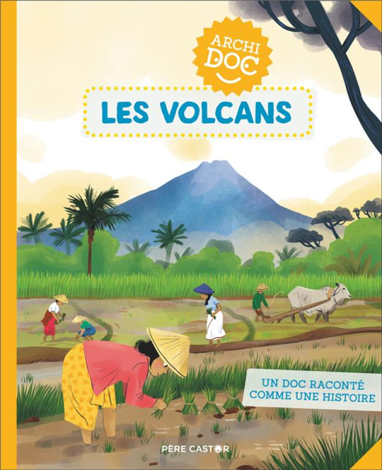 ARCHIDOC - LES VOLCANS - TREDEZ/RIEMANN - FLAMMARION