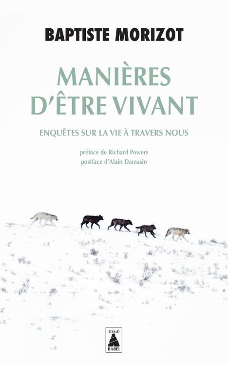 MANIERES D'ETRE VIVANT - ENQUETES SUR LA VIE A TRAVERS NOUS - MORIZOT/POWERS - ACTES SUD