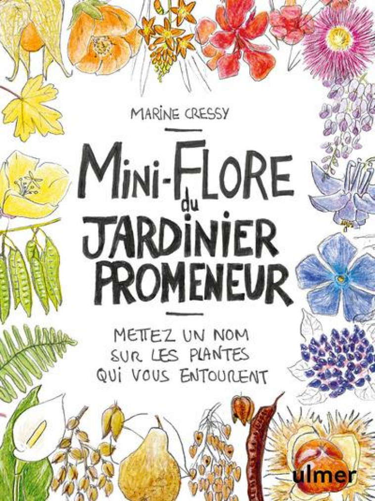 MINIFLORE DU JARDINIER PROMENEUR - CRESSY MARIE - ULMER