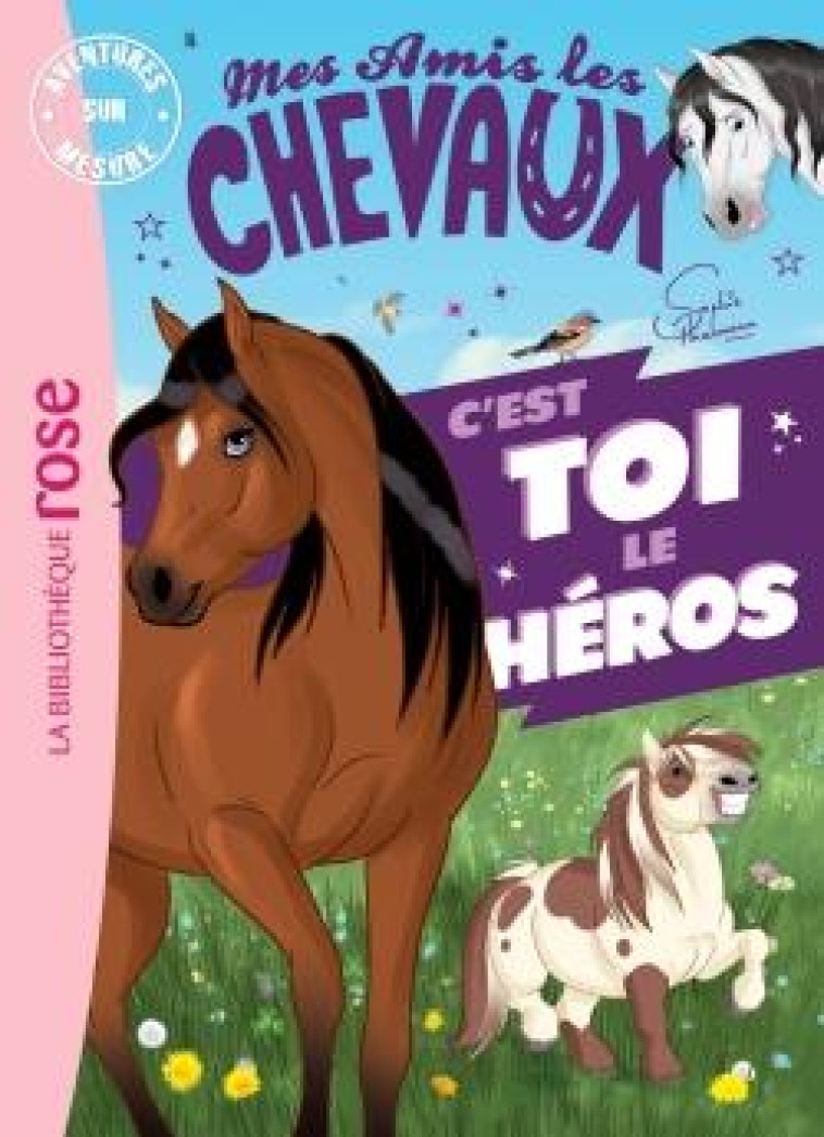 MES AMIS LES CHEVAUX-AVENTURE SUR MESURE XXL - MES AMIS LES CHEVAUX - SOPHIE THALMANN - T0 - THALMANN SOPHIE - HACHETTE