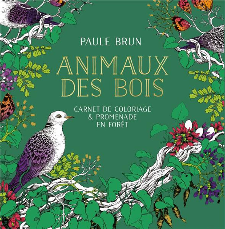 ANIMAUX DES BOIS - BRUN PAULE - MARABOUT