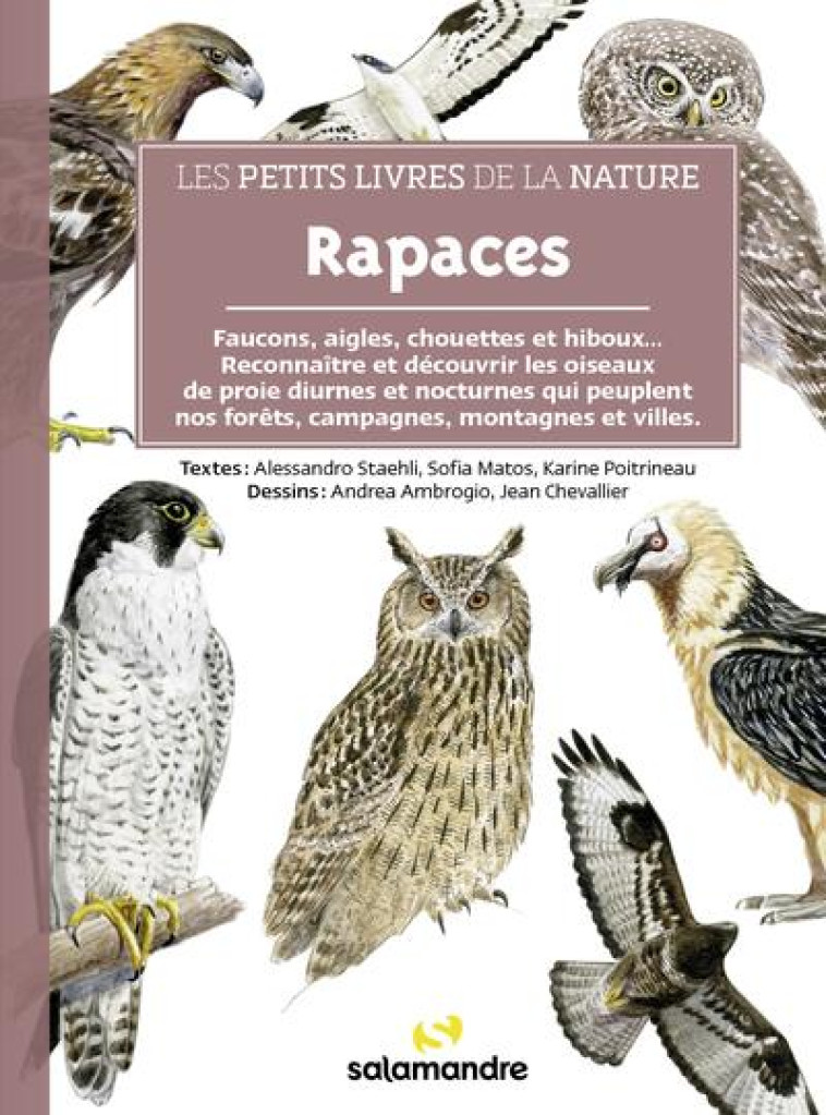 LES PETITS LIVRES DE LA NATURE - RAPACES - STAEHLI/MATOS - LA SALAMANDRE