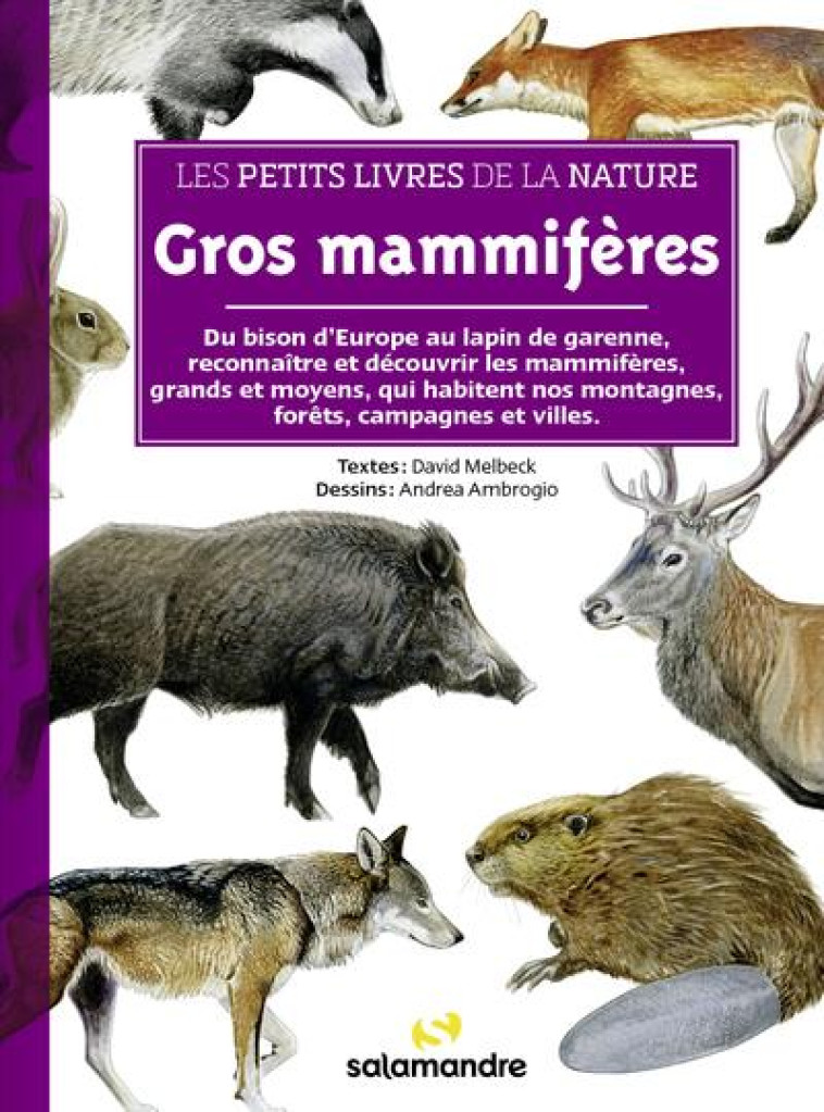 LES PETITS LIVRES DE LA NATURE - GROS MAMMIFERES - MELBECK/AMBROGIO - LA SALAMANDRE