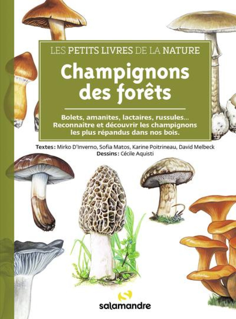 champignons : dans la nature, au jardin