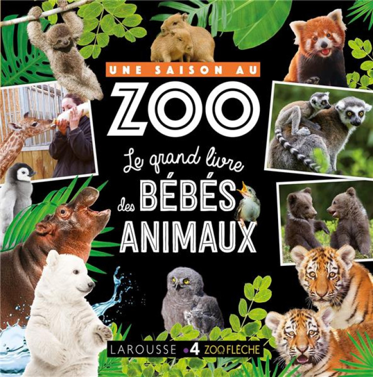 UNE SAISON AU ZOO LE GRAND LIVRE DES BEBES ANIMAUX - MEYER AURORE - LAROUSSE